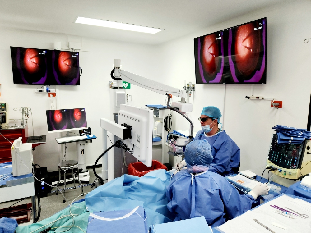 Cirugía de retina
